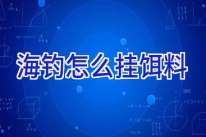 海钓怎么挂饵料