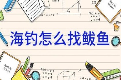 海钓怎么找鲅鱼