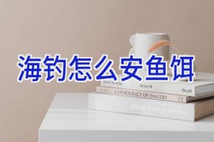 海钓怎么安鱼饵
