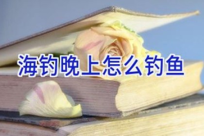 海钓晚上怎么钓鱼