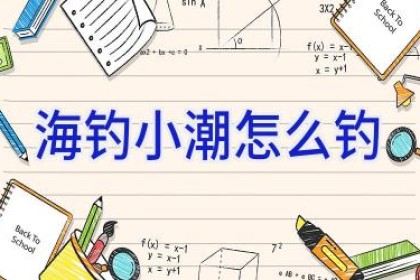 海钓小潮怎么钓