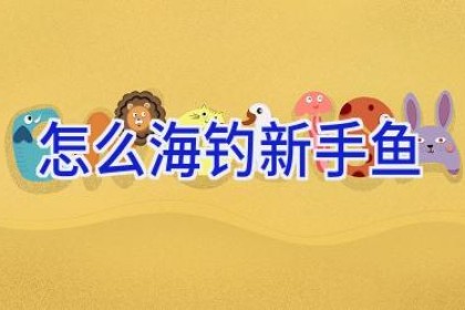 怎么海钓新手鱼