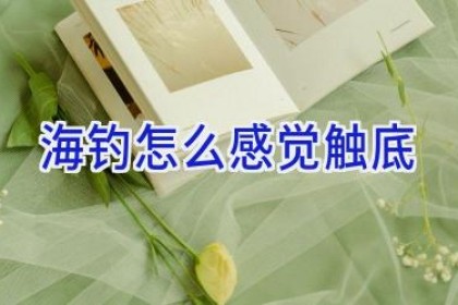 海钓怎么感觉触底