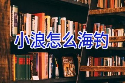 小浪怎么海钓