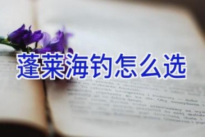 蓬莱海钓怎么选