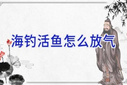 海钓活鱼怎么放气