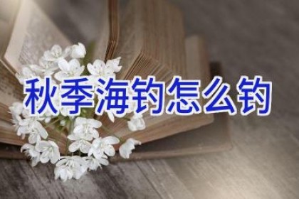 秋季海钓怎么钓