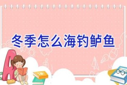 冬季怎么海钓鲈鱼