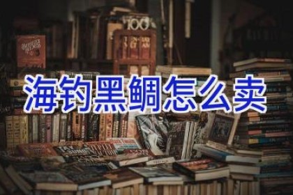海钓黑鲷怎么卖