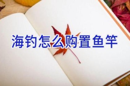 海钓怎么购置鱼竿