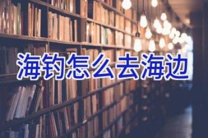 海钓怎么去海边