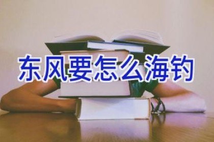东风要怎么海钓