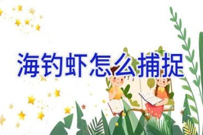 海钓虾怎么捕捉