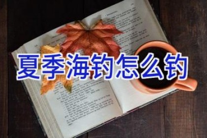 夏季海钓怎么钓