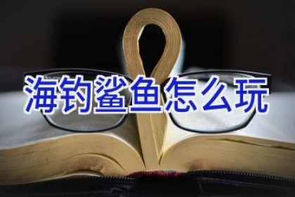 海钓鲨鱼怎么玩