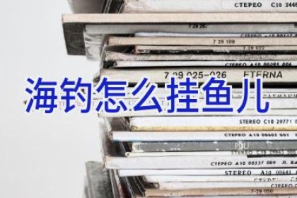 海钓怎么挂鱼儿