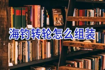 海钓转轮怎么组装