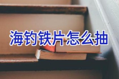 海钓铁片怎么抽