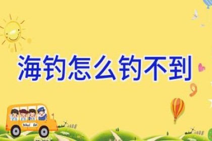 海钓怎么钓不到