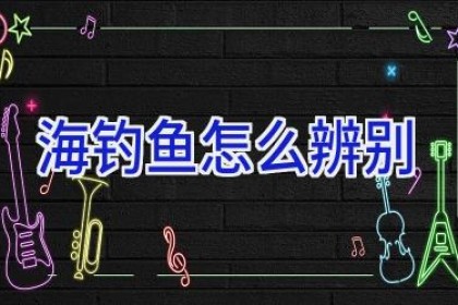 海钓鱼怎么辨别