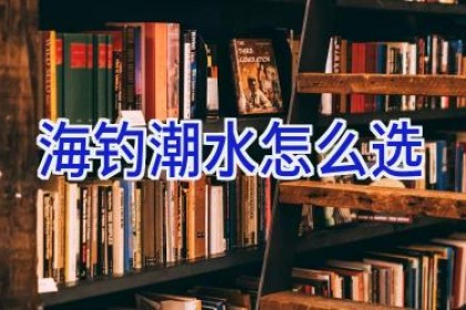 海钓潮水怎么选