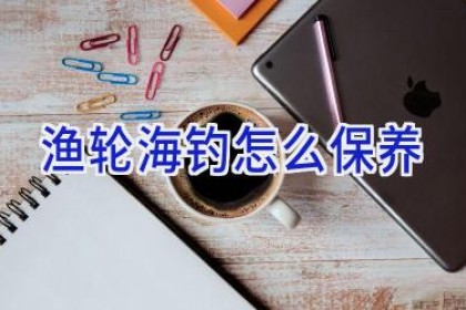 渔轮海钓怎么保养