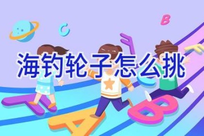 海钓轮子怎么挑