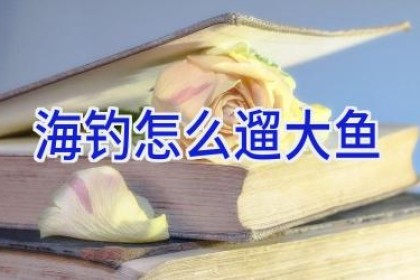 海钓怎么遛大鱼