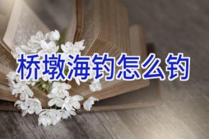 桥墩海钓怎么钓