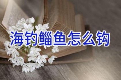 海钓鲻鱼怎么钩