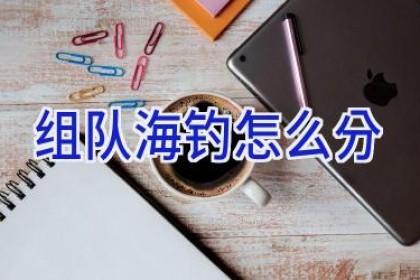 组队海钓怎么分