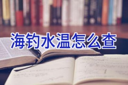 海钓水温怎么查