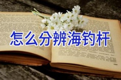 怎么分辨海钓杆