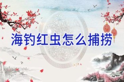 海钓红虫怎么捕捞