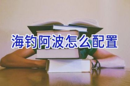 海钓阿波怎么配置