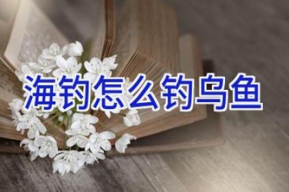海钓怎么钓乌鱼