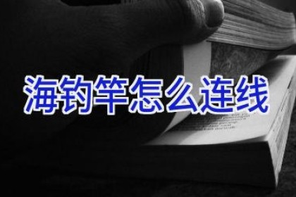 海钓竿怎么连线