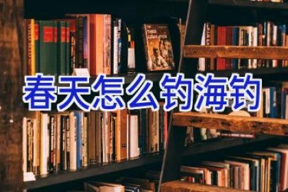 春天怎么钓海钓