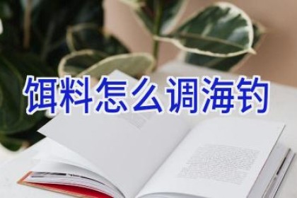 饵料怎么调海钓