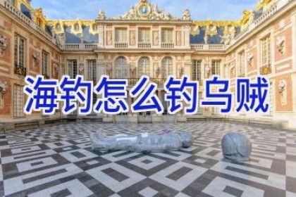 海钓怎么钓乌贼