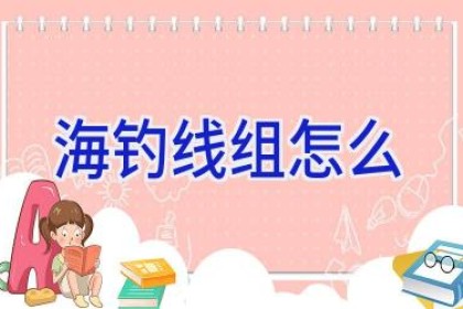 海钓线组怎么