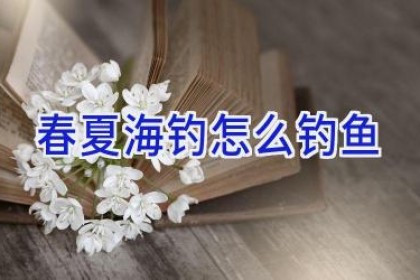 春夏海钓怎么钓鱼