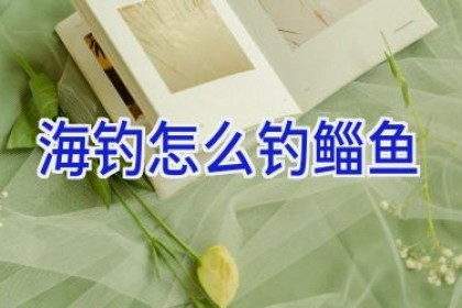 海钓怎么钓鲻鱼