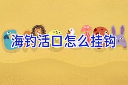 海钓活口怎么挂钩