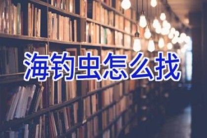 海钓虫怎么找