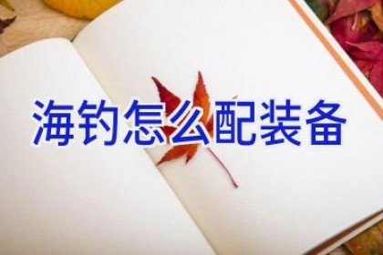 海钓怎么配装备
