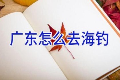 广东怎么去海钓