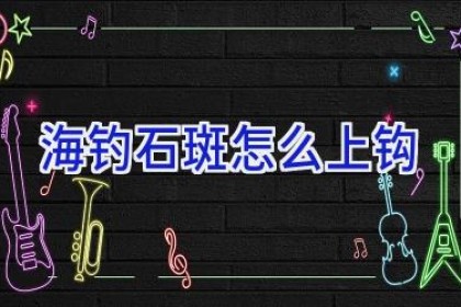 海钓石斑怎么上钩