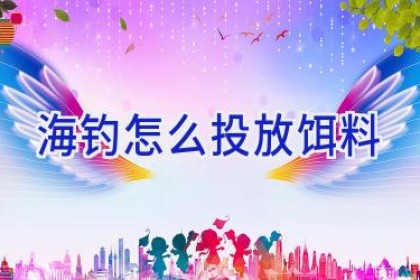 海钓怎么投放饵料