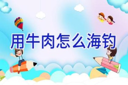 用牛肉怎么海钓